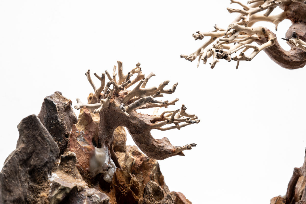 UNS Strata Pro Type 7 | WYSIWYG Planted Tank Hardscape - Glass Aqua