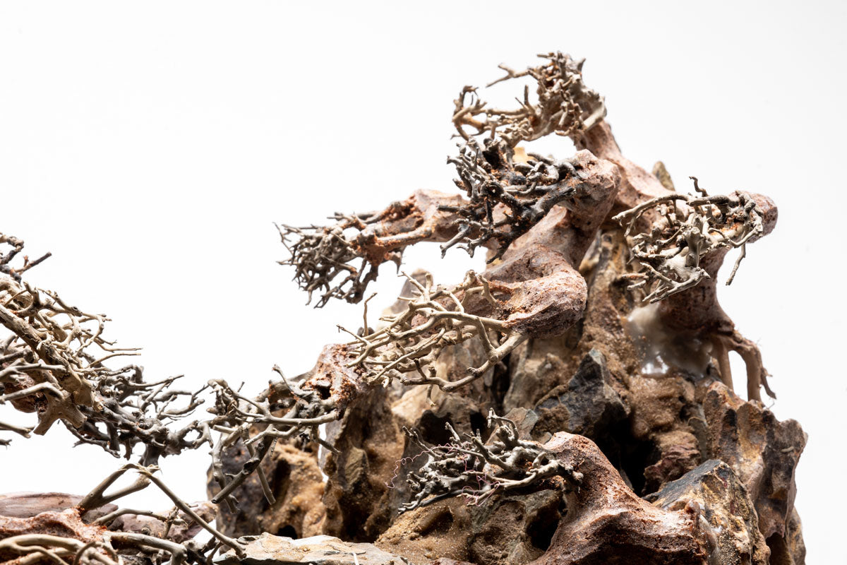 UNS Strata Pro Type 8 | WYSIWYG Planted Tank Hardscape - Glass Aqua