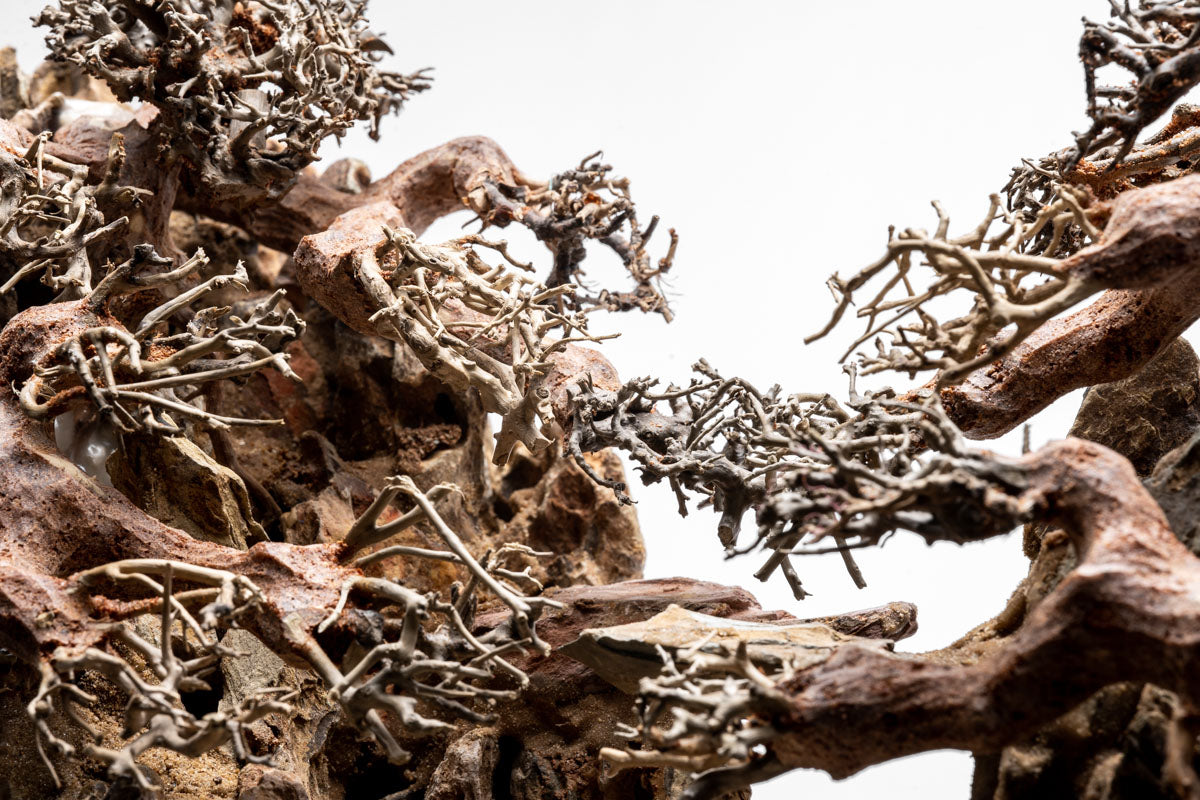 UNS Strata Pro Type 8 | WYSIWYG Planted Tank Hardscape - Glass Aqua