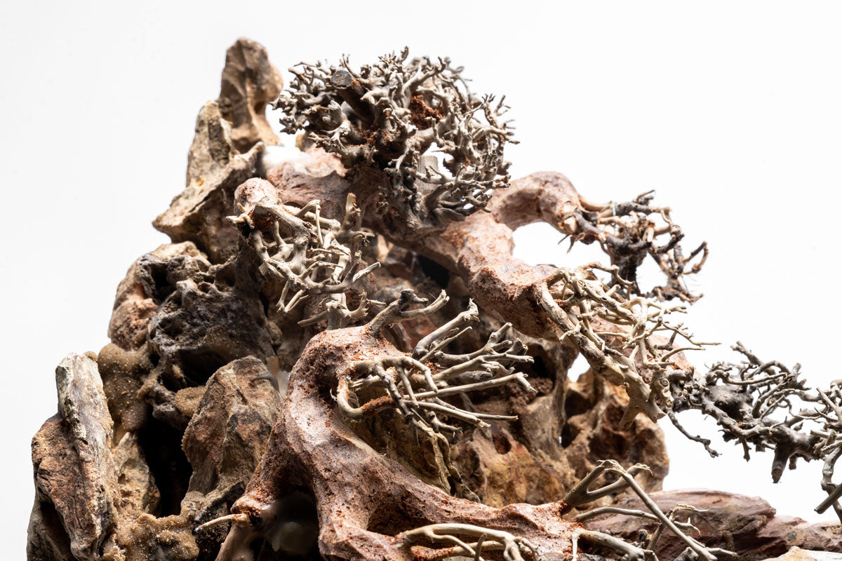 UNS Strata Pro Type 8 | WYSIWYG Planted Tank Hardscape - Glass Aqua