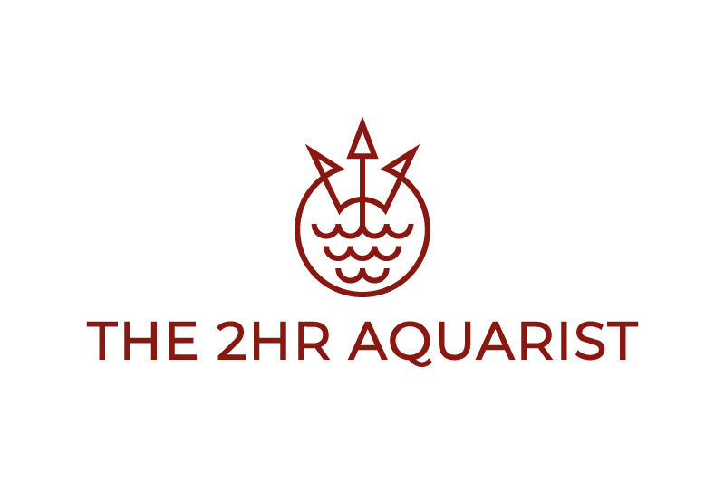 2HR Aquarist