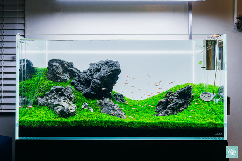 Grey Mountain Valley