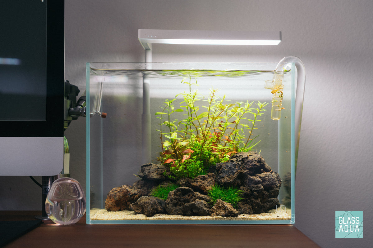 Ultum Nature Systems 3T Tall Planted Aquarium Tank Wabi Kusa