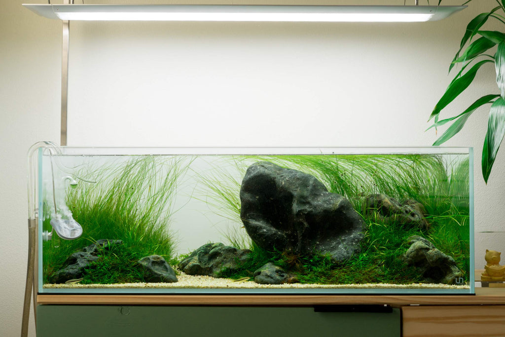 Long Rimless Glass Aquariums
