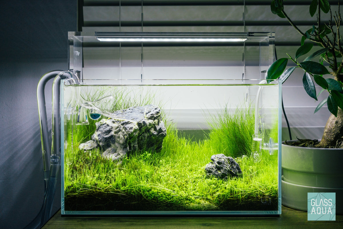 Ultum Nature Systems 5N Nano Iwagumi Planted Aquarium Tank