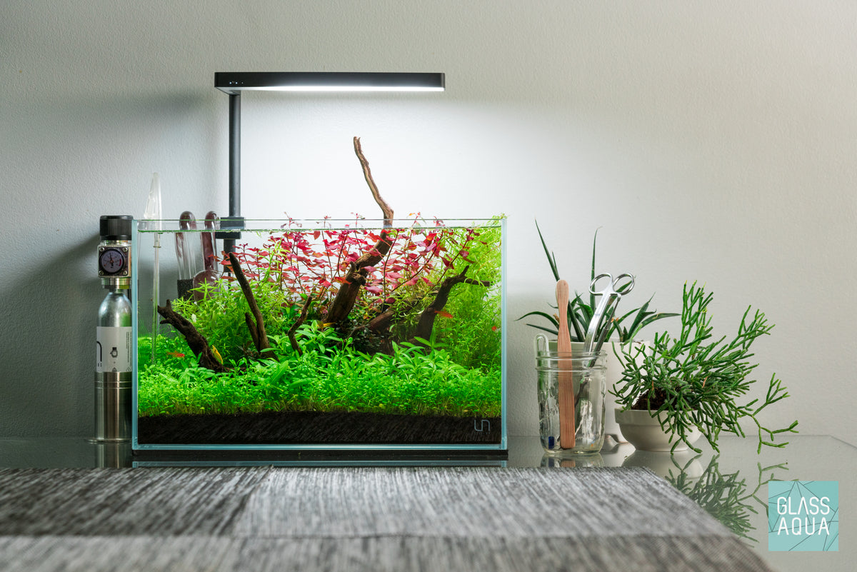 Changing Seasons Redux