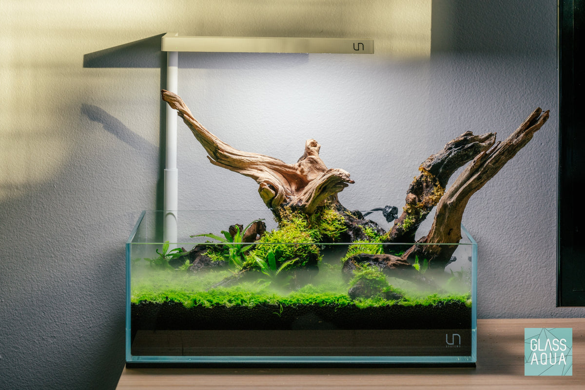 Dry Start Planted Aquarium Terrarium Tank UNS 5S Shallow