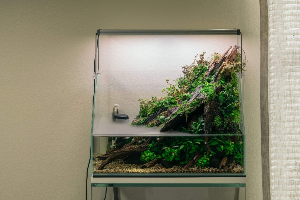Shop Glass Aqua Rimless Glass Paludarium Tank
