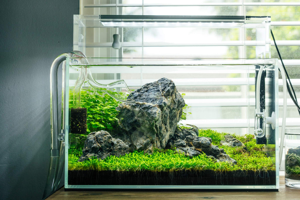 Nano Rimless Glass Aquariums