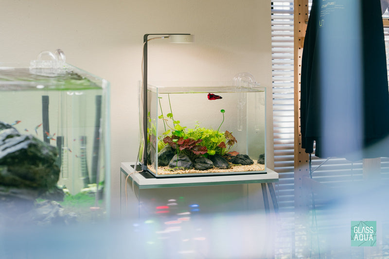 Ultum Nature Systems UNS 5T Nano Betta Planted Aquarium Tank