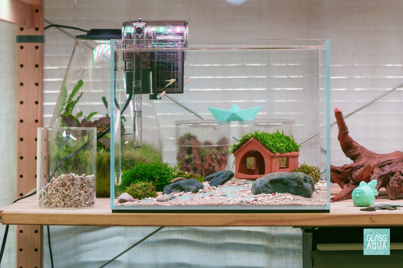 Kami Haus