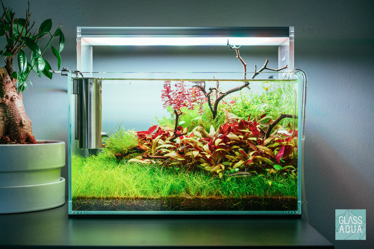 Nature Style Nano Planted Tank in UNS 5N rimless aquarium