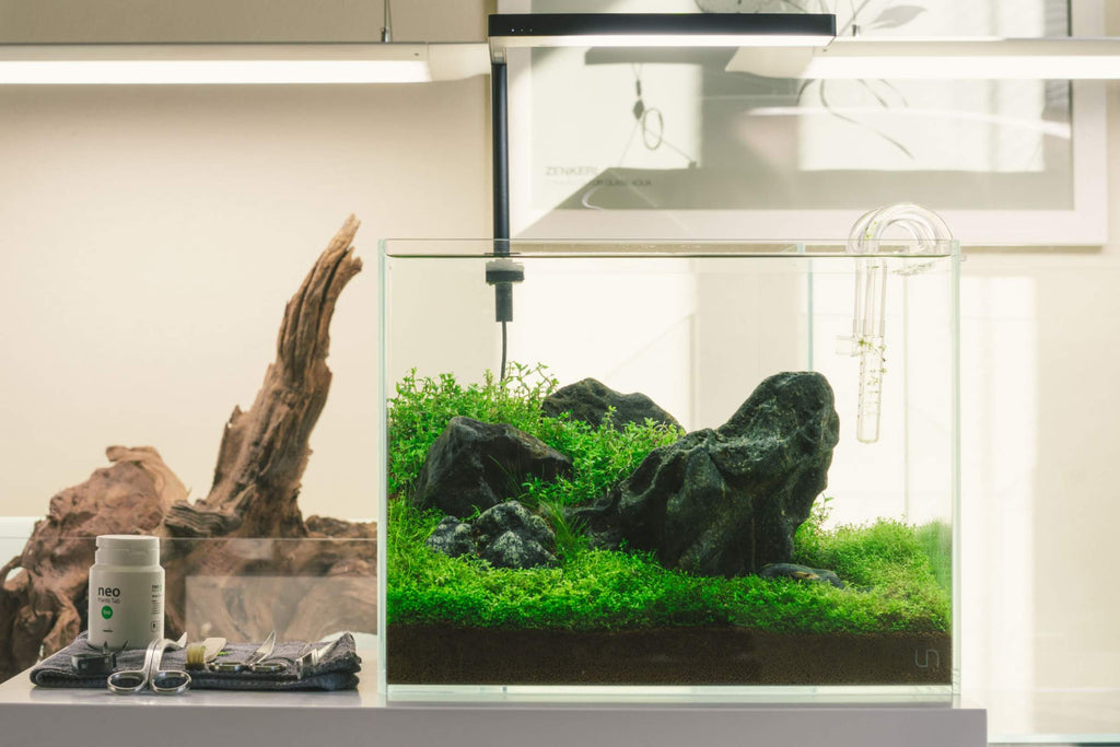 Tall Rimless Glass Aquariums & Tanks