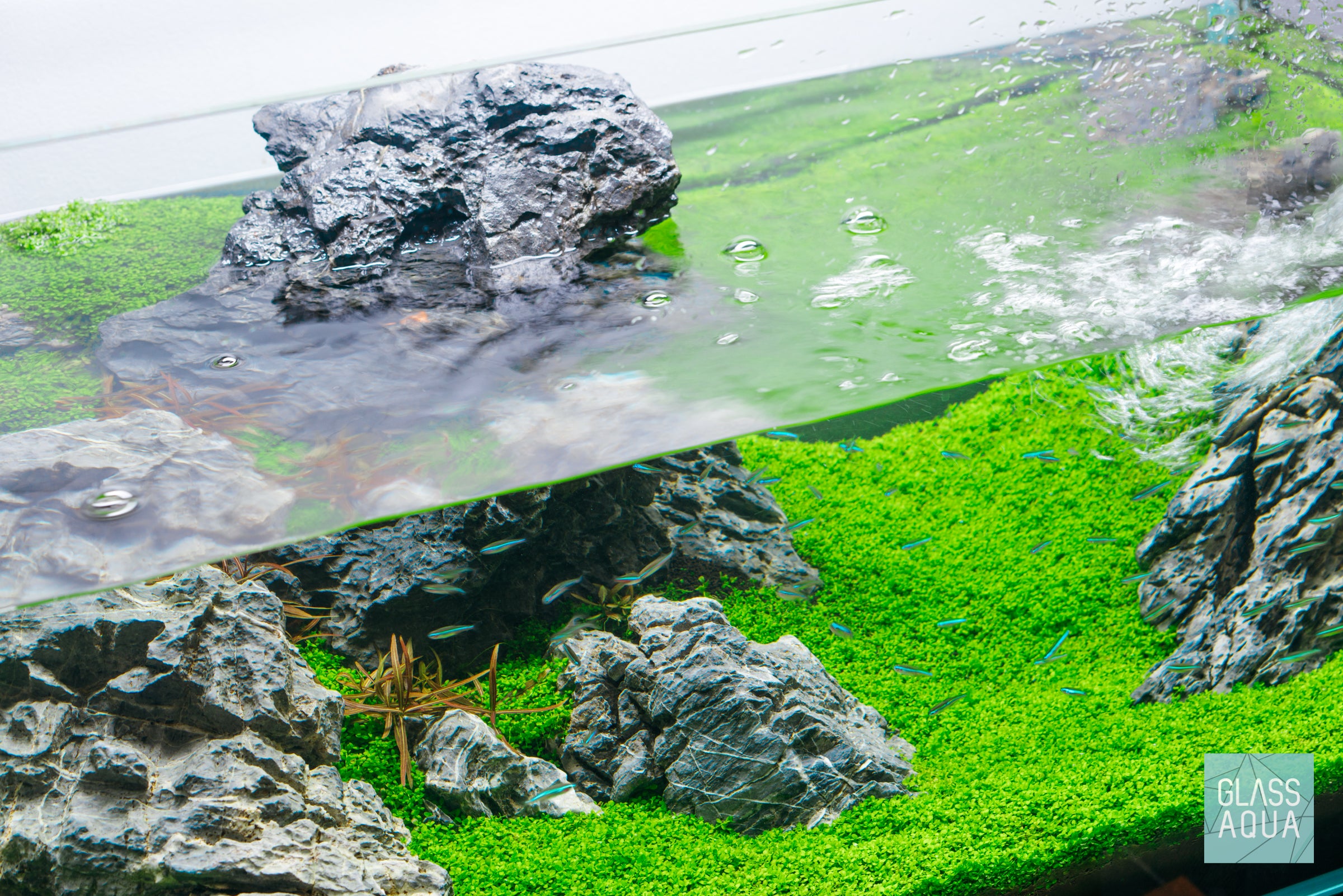 Aquarium Canister Filter Bundles