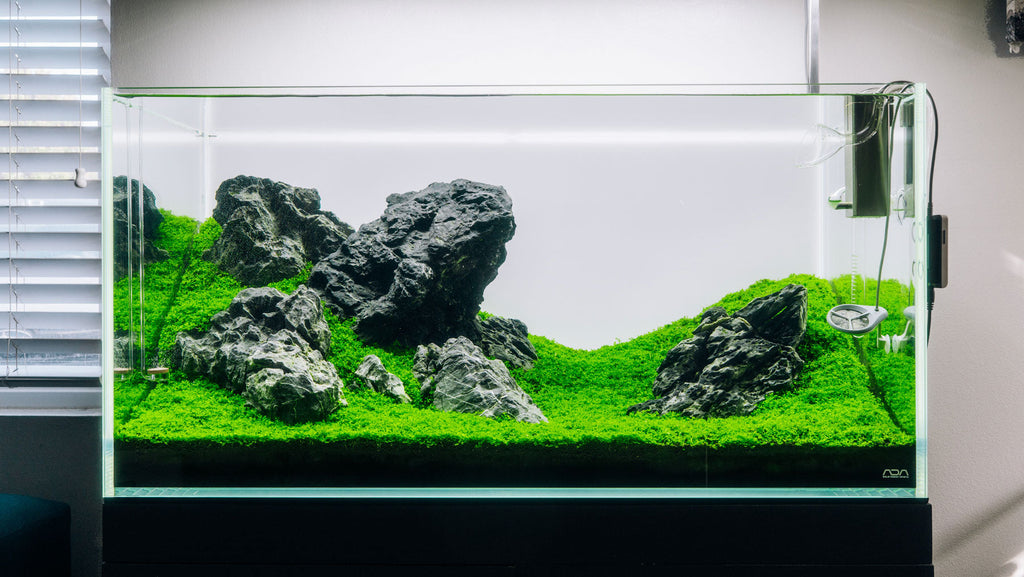 planted tank air stone Fire Stone - Aquarium Rocks for Aquascaping