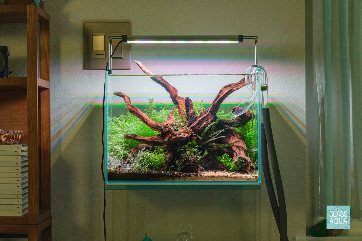 ADA Mini M Planted Nano Tank Nature Aquarium Style
