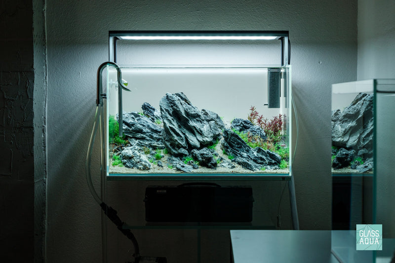 Tidal
