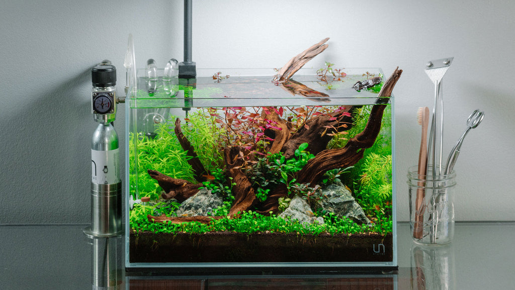 Shop Glass Aqua Aquarium Terrarium Paludarium Tank Kits
