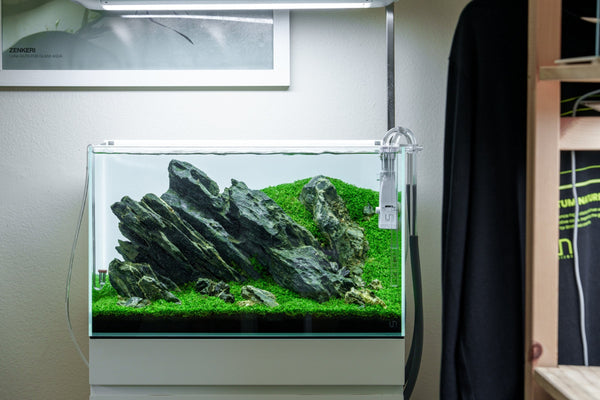 Build Your Own Aquarium Kits