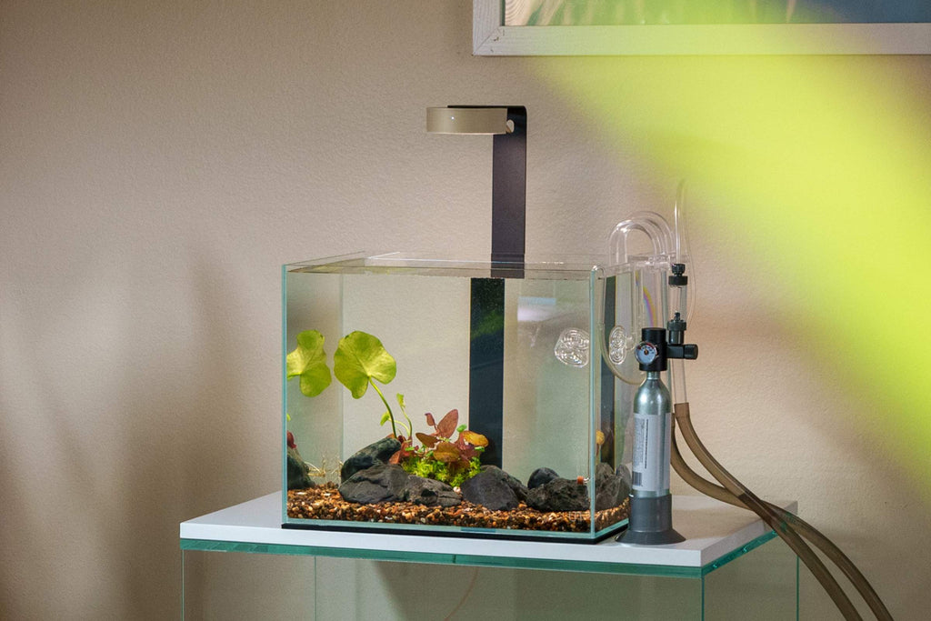 Planted Aquarium CO2 Kits
