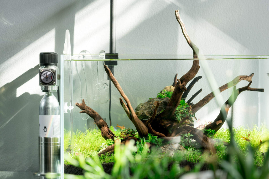 Planted Aquarium CO2 Accessories