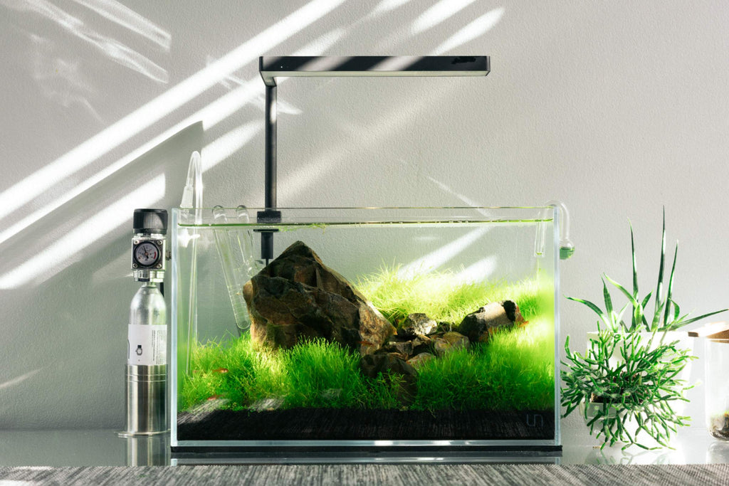 Planted Aquarium CO2 Regulators