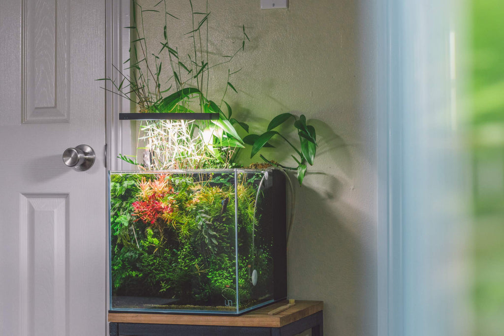 Aquarium Pumps