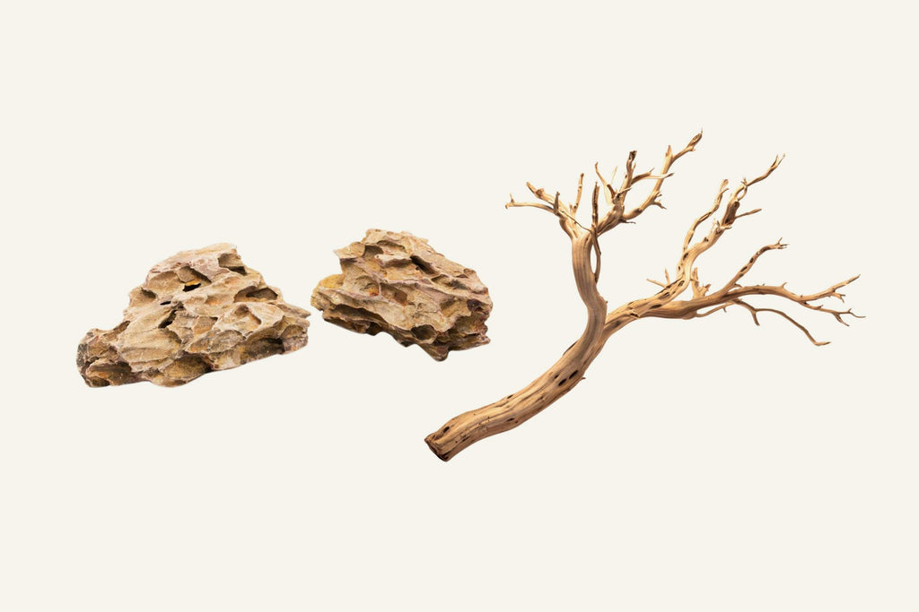 Shop Premium Aquarium and Planted Tank Rocks and Wood - Glass Aqua