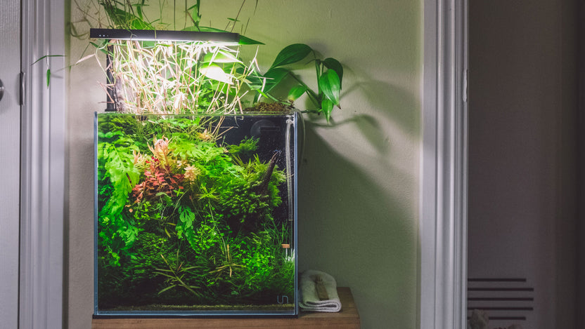 Ultum Nature Systems UNS Reef System – Glass Aqua