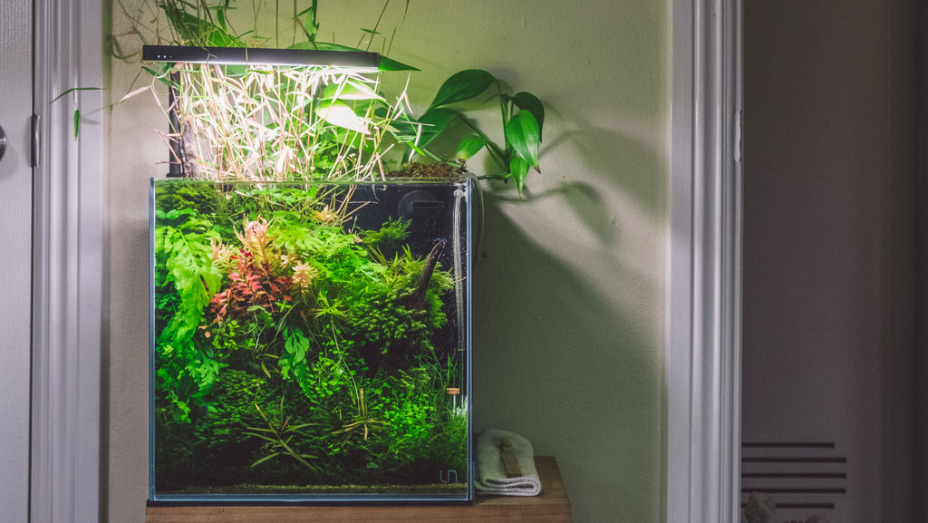 Shop Glass Aqua Rimless All-In-One Rimless Glass Aquarium Tank