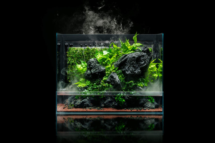 Ultum Nature Systems Rimless Shallow Glass Aquarium Tank