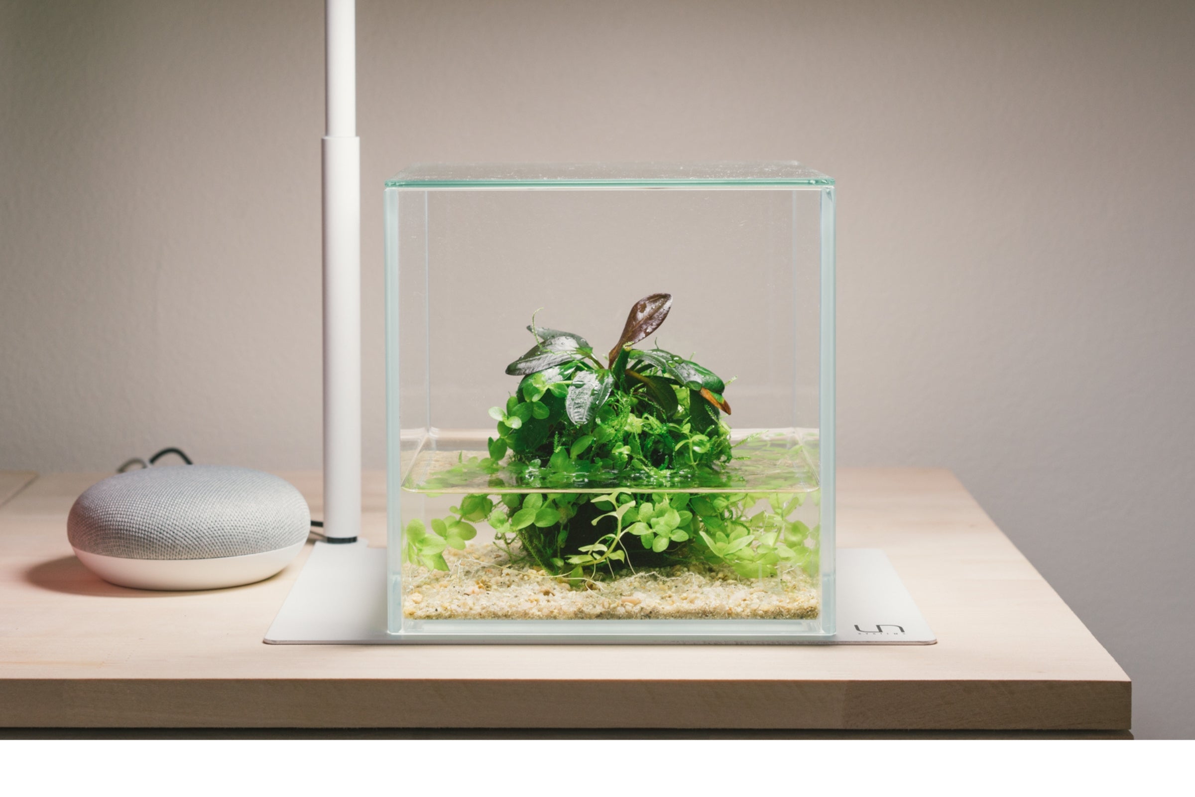Do!aqua CUBE GLASS キューブグラス 水槽 Basic Aquarium Kit - Cube | Glass Aqua