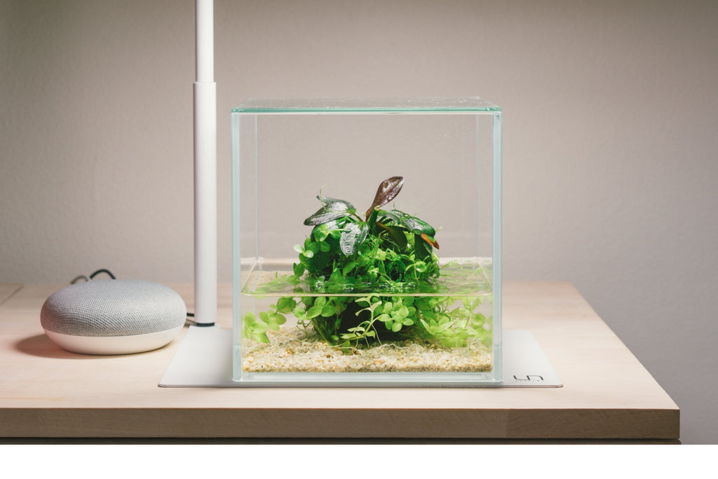 Glass Aquarium Lid & Tank Covers