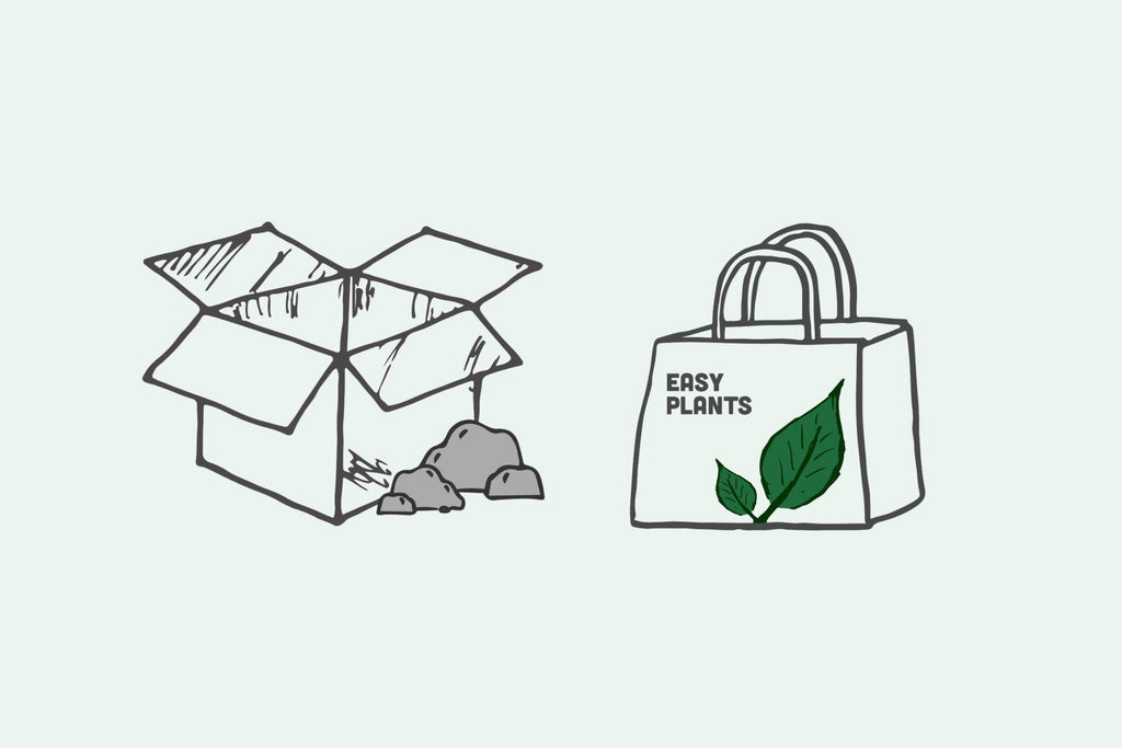Shop Premium Aquarium and Planted Tank Bundles and Kits - Glass Aqua