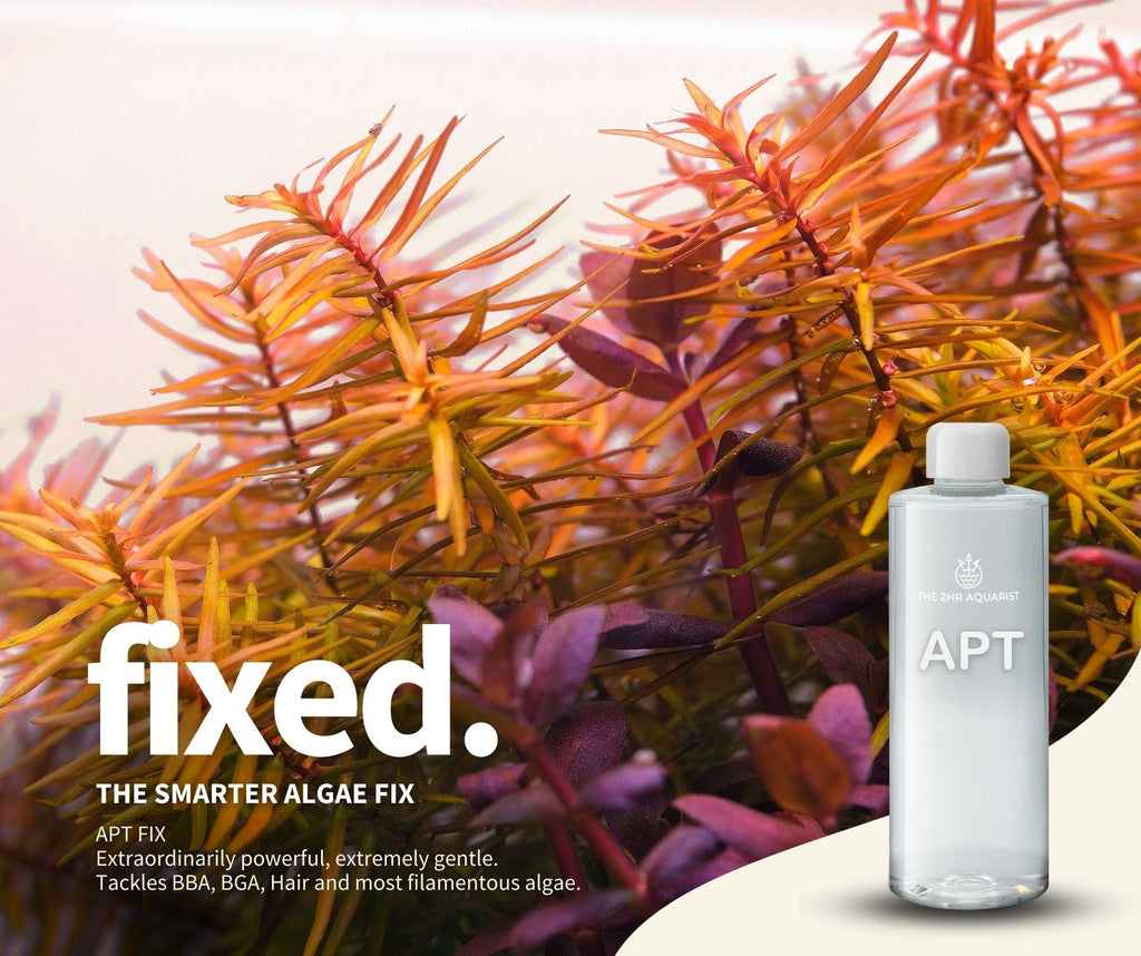 2HR Aquarist APT Fix Algae Treatment for Planted Aquariums - Glass Aqua