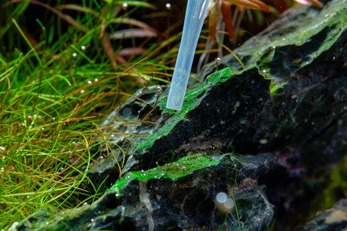 2HR Aquarist APT Fix Algae Treatment for Planted Aquariums