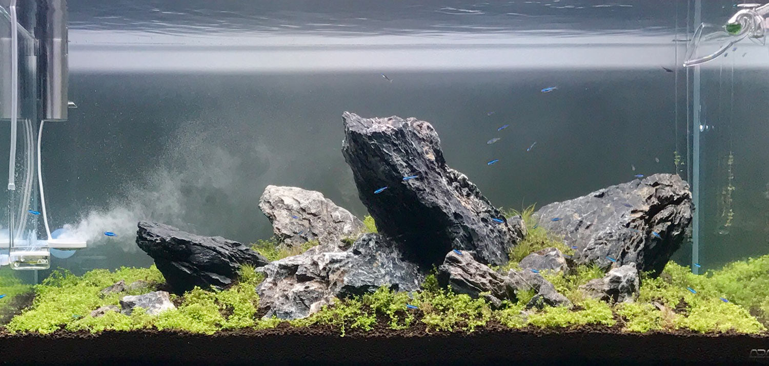 Jagged Mountain - ADA 90P Aquarium | Glass Aqua