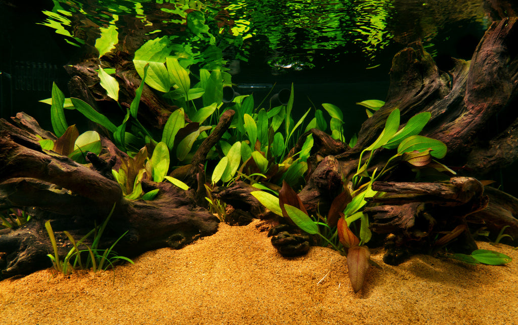 Ultum Nature Systems Controsand - Mojave