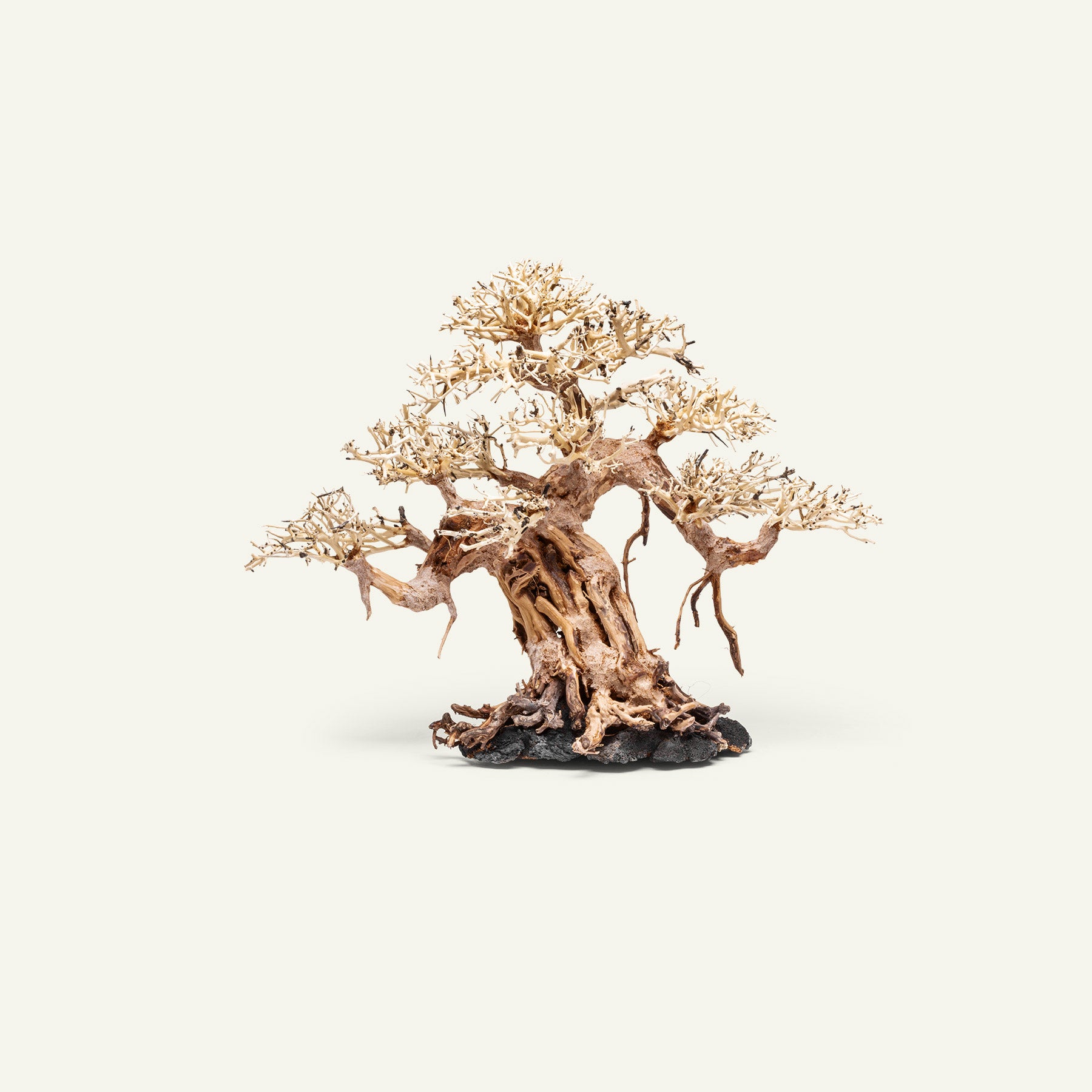 Ultum Nature Systems UNS Bonsai Tree Driftwood Aquarium Hardscape Wood 015