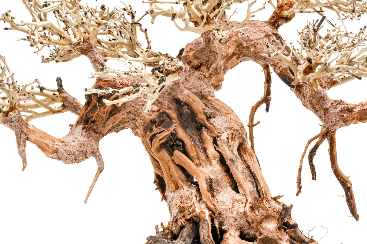 Ultum Nature Systems UNS Bonsai Tree Driftwood Aquarium Hardscape Wood 015