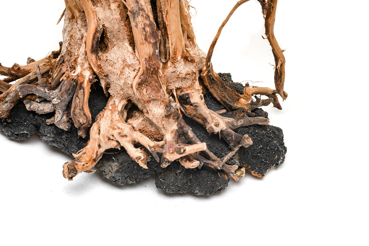 Ultum Nature Systems UNS Bonsai Tree Driftwood Aquarium Hardscape Wood 015