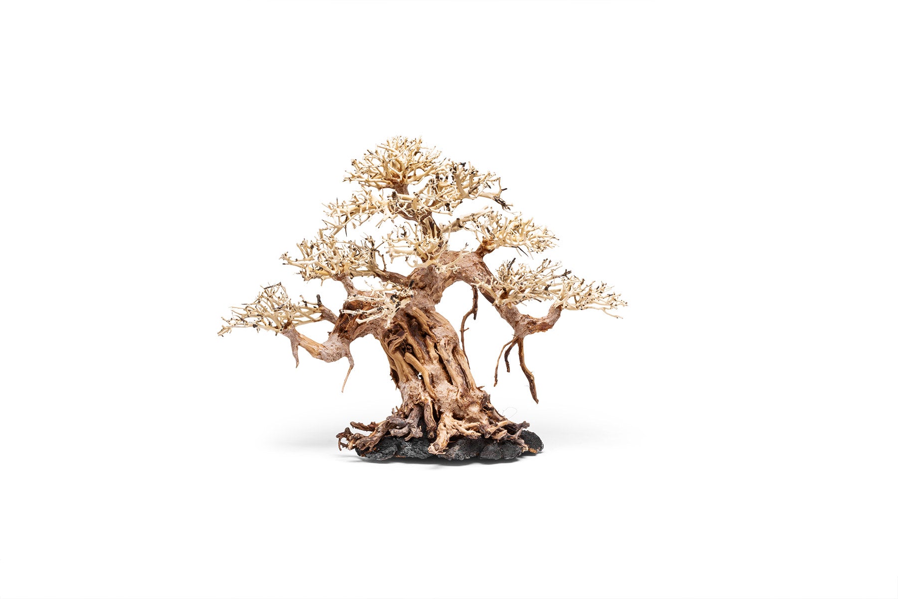 Ultum Nature Systems UNS Bonsai Tree Driftwood Aquarium Hardscape Wood 015
