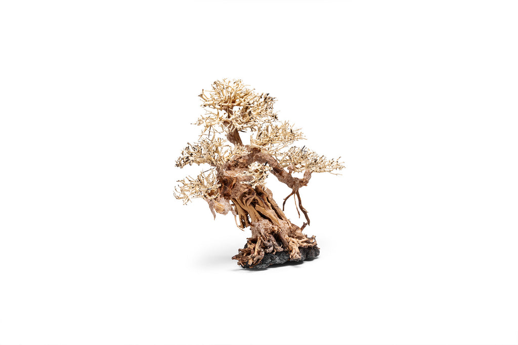 Ultum Nature Systems UNS Bonsai Tree Driftwood Aquarium Hardscape Wood 015