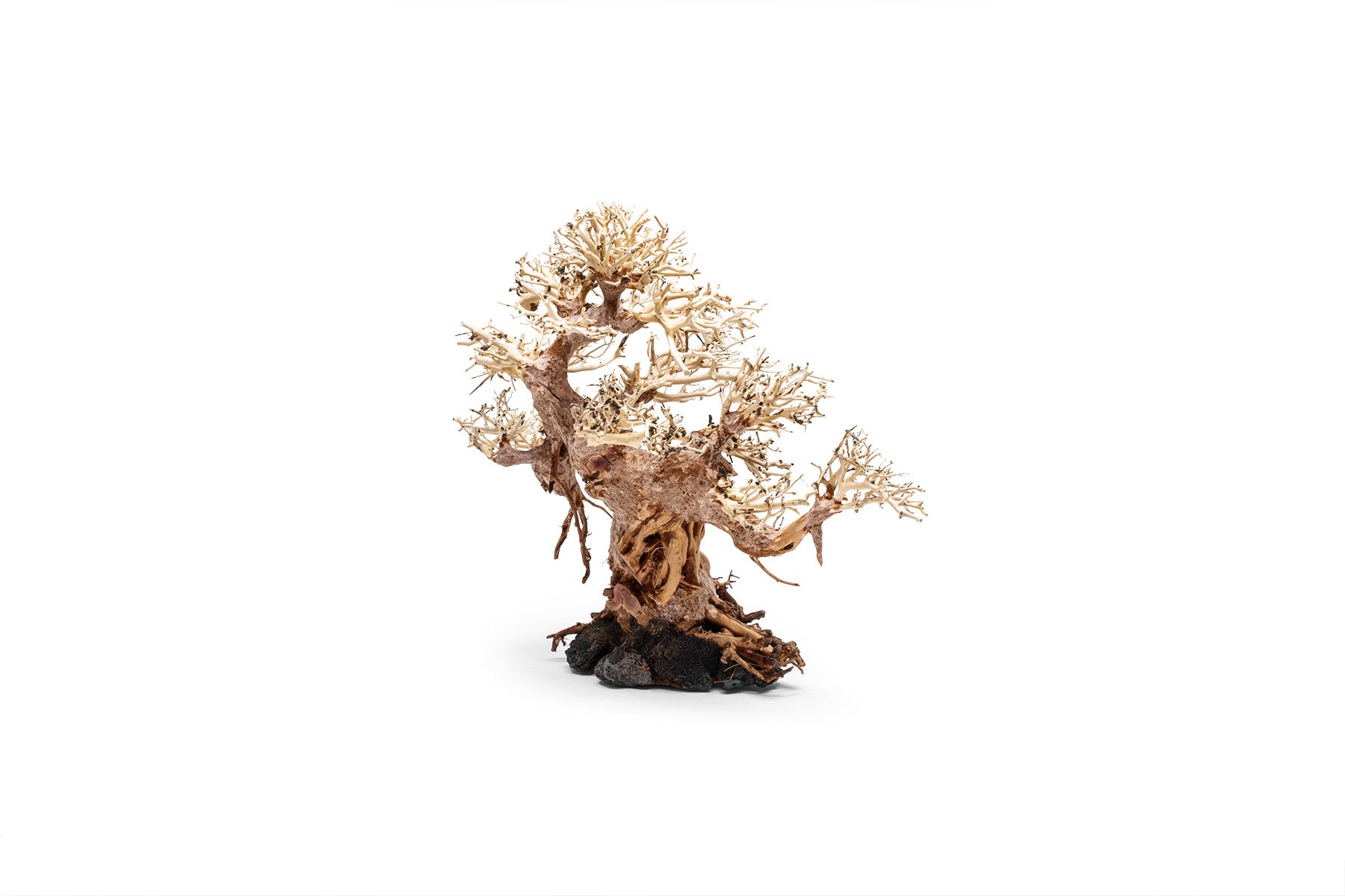 Ultum Nature Systems UNS Bonsai Tree Driftwood Aquarium Hardscape Wood 015