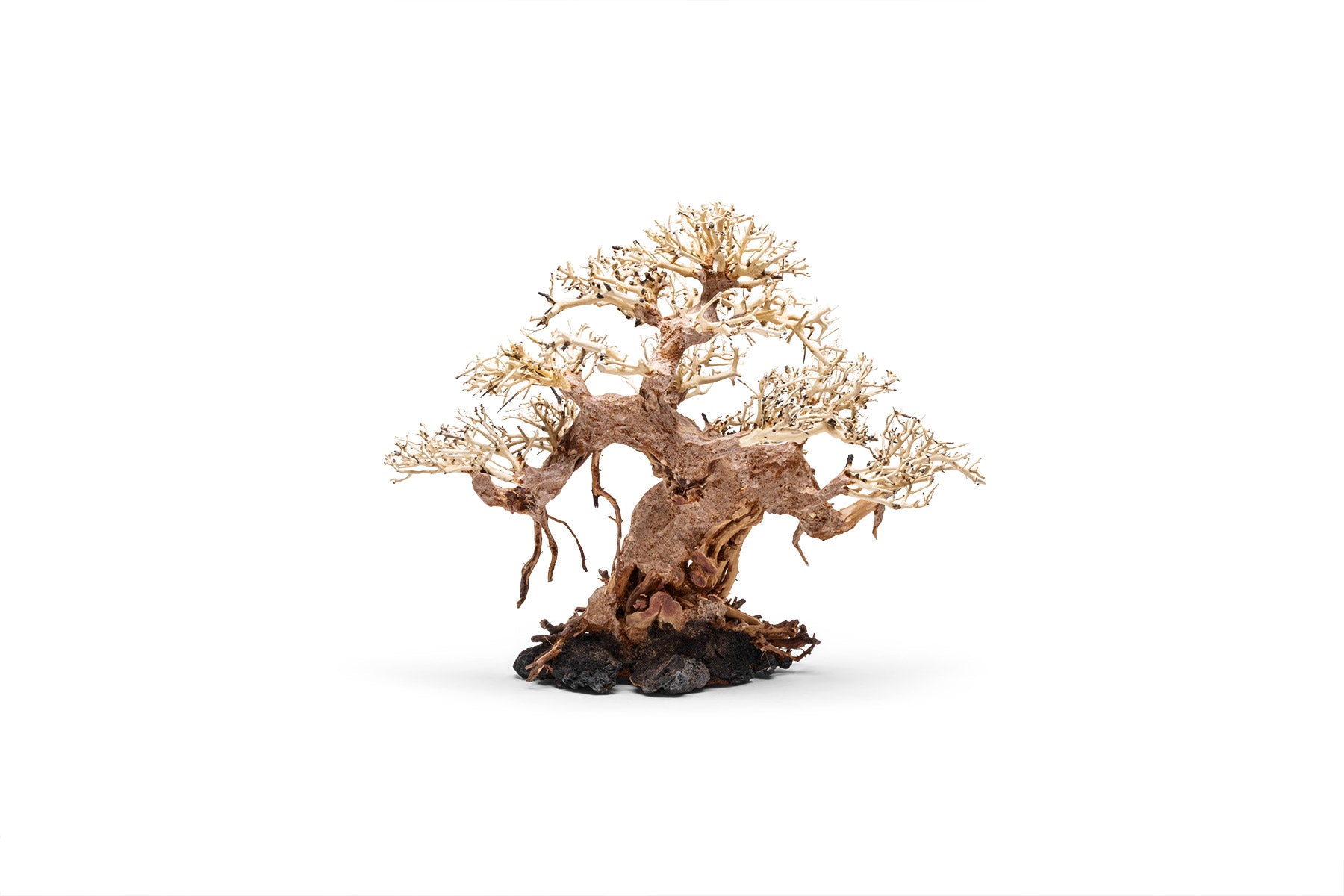 Ultum Nature Systems UNS Bonsai Tree Driftwood Aquarium Hardscape Wood 015