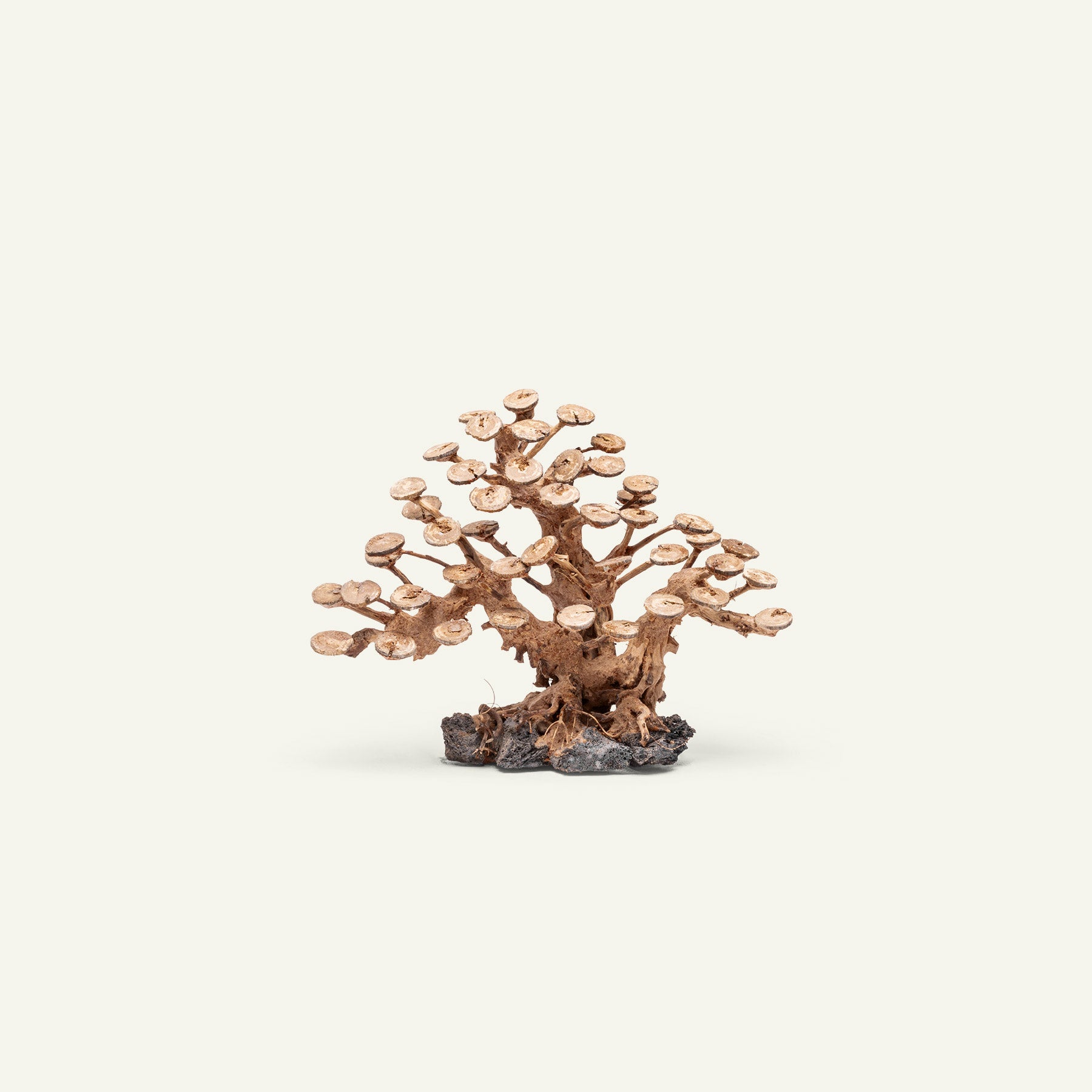 Ultum Nature Systems UNS Bonsai Tree Driftwood Aquarium Hardscape Wood 016