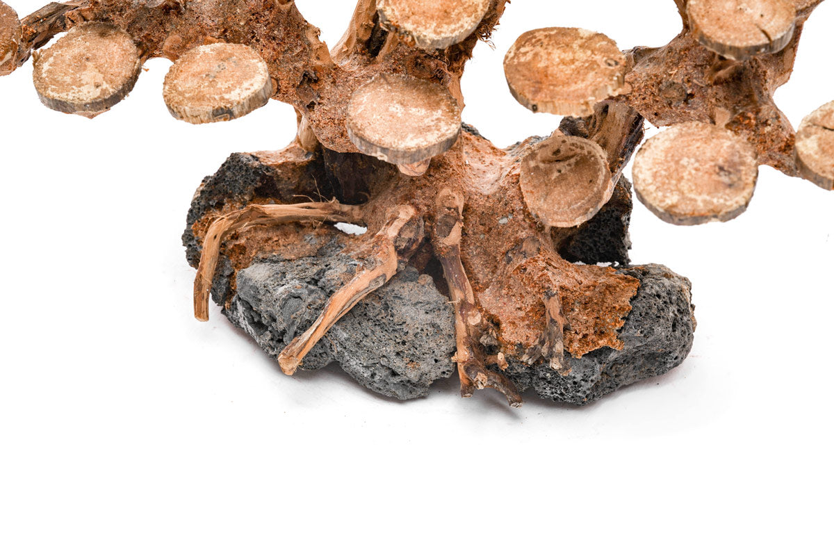 Ultum Nature Systems UNS Bonsai Tree Driftwood Aquarium Hardscape Wood 016
