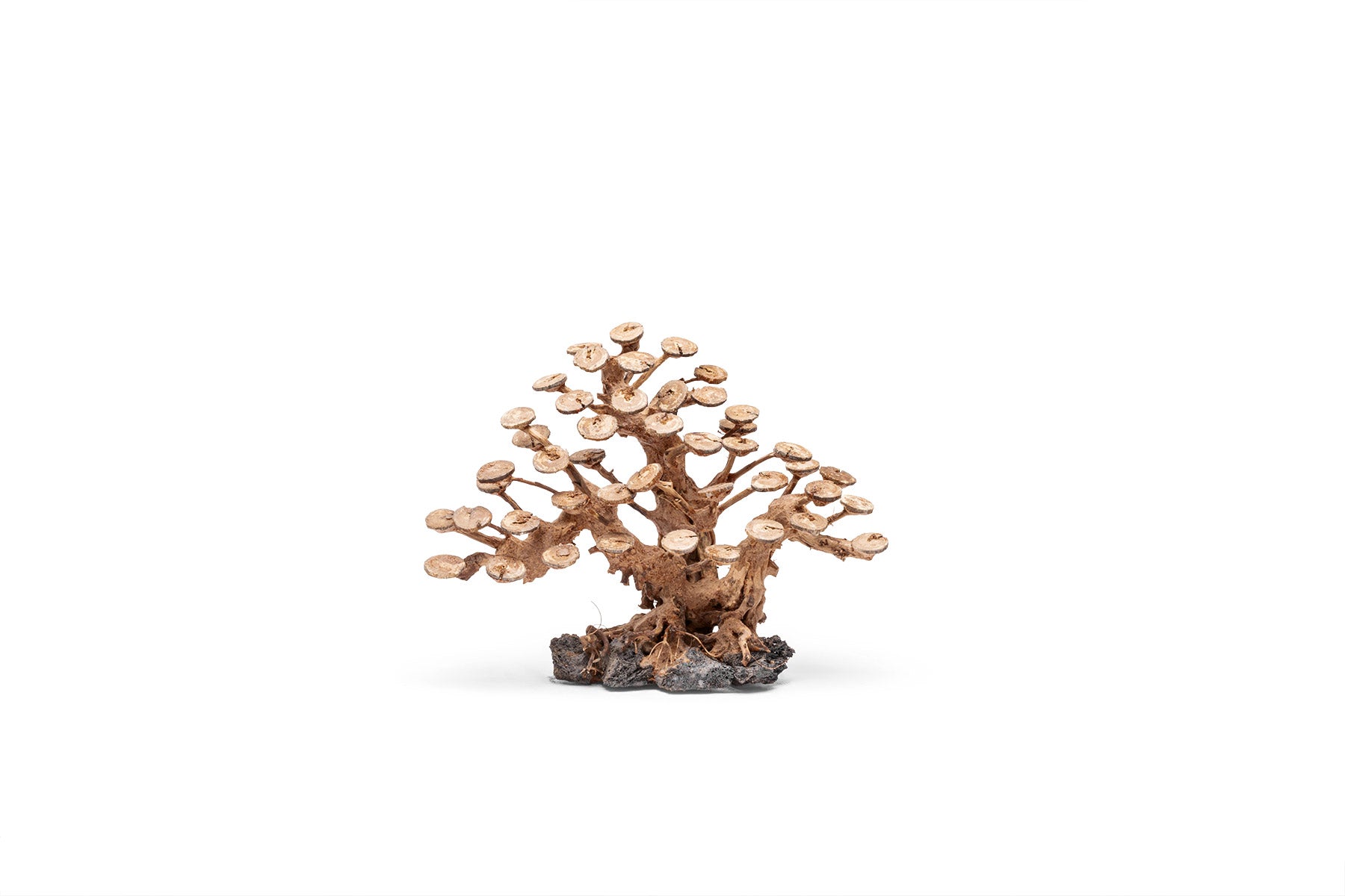 Ultum Nature Systems UNS Bonsai Tree Driftwood Aquarium Hardscape Wood 016