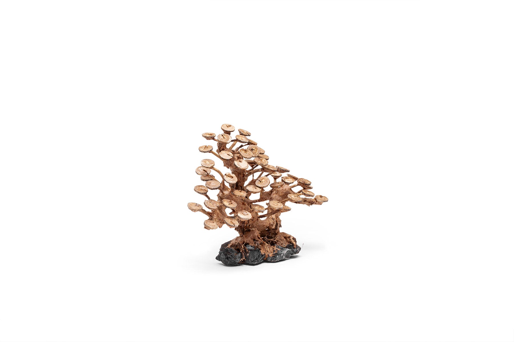 Ultum Nature Systems UNS Bonsai Tree Driftwood Aquarium Hardscape Wood 016