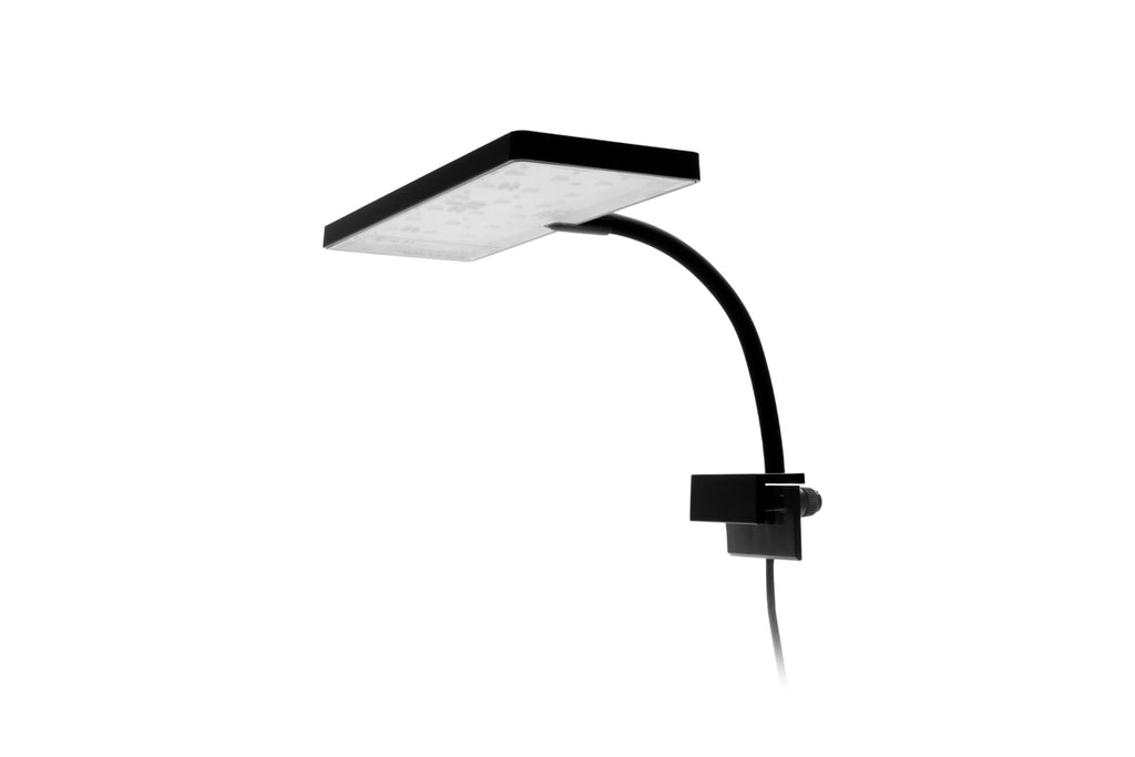 AquaWorx EOS Nano Tank LED Light | Shop Aquarium Lighting - Glass Aqua